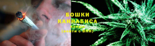 крисы Арсеньев