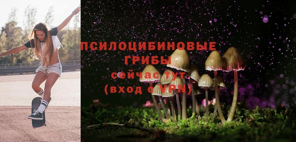 молекула духа Аркадак
