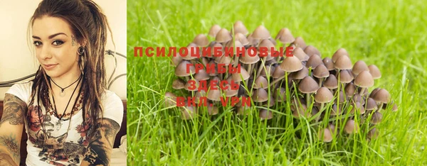 крисы Арсеньев