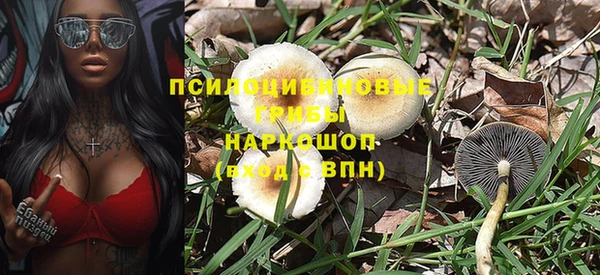 крисы Арсеньев