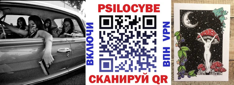 хочу наркоту  Бор  Псилоцибиновые грибы мухоморы 