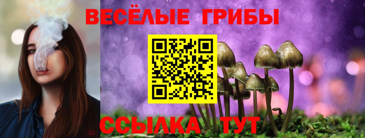 Галлюциногенные грибы мухоморы  Вход с VPN  Псилоцибиновые грибы прущие грибы  Бор 