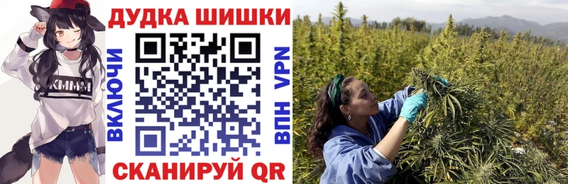 mega ССЫЛКА  где можно купить наркотик  Бор  Конопля SATIVA & INDICA 