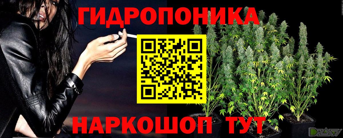 Каннабис Ganja  Каннабис VHQ  Вход с VPN  Бошки Шишки White Widow  Бор 